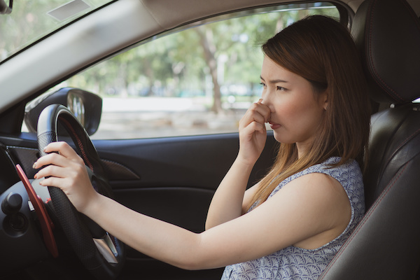 I Smell Something Strange While Driving...What Could It Be?