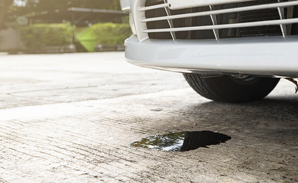 What Happens When You Ignore a Minor Oil Leak