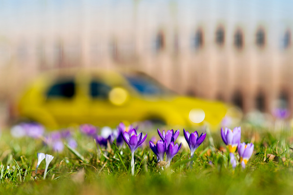 How To Prepare Your Vehicle for the Spring Season