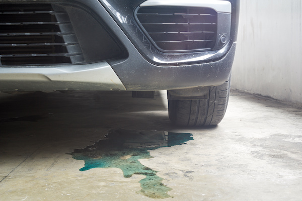 Is Your Vehicle Showing Signs of a Leak?