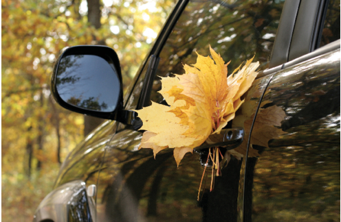 Fall Car Care Special | Community Auto image #4