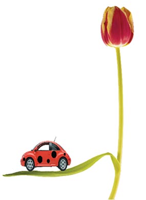 Spring Car Care Special | Community Auto image #2