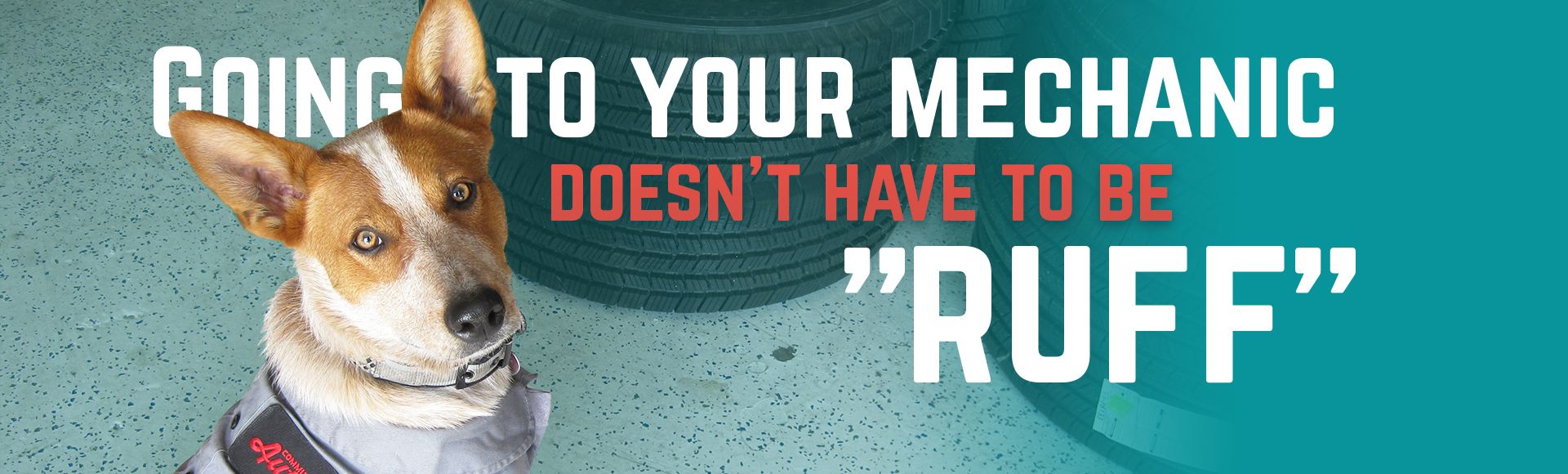 Going To Your Mechanic Doesn't Have to be Ruff | Community Auto